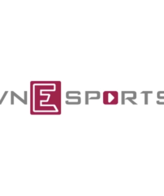 avatar Vnesports